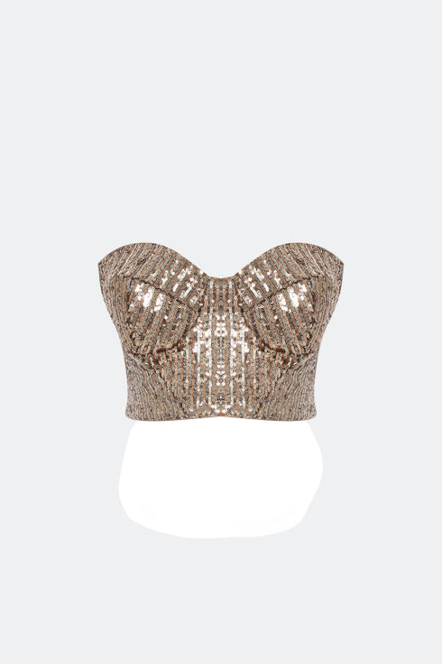 Silver-Camel Sequin Bra Form Crop Top