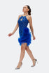 Tulle Detailed Cobalt Mini Dress