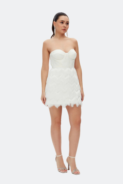 Emma Bra Form Mini Dress