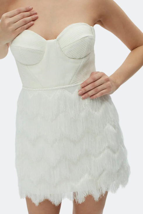 Emma Bra Form Mini Dress