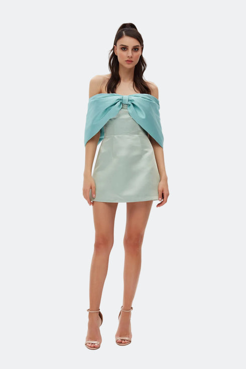 Sleeve Detailed Bicolor Mini Dress