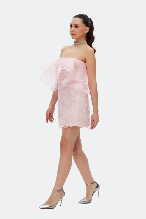 Flounce Detailed Lace Mini Dress