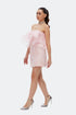 Flounce Detailed Lace Mini Dress
