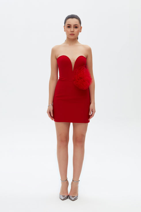 IRIS SWEETHEART NECK BODYCON MINI DRESS