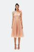 Mery Pleat Tulle Flower Detailed Midi Dress
