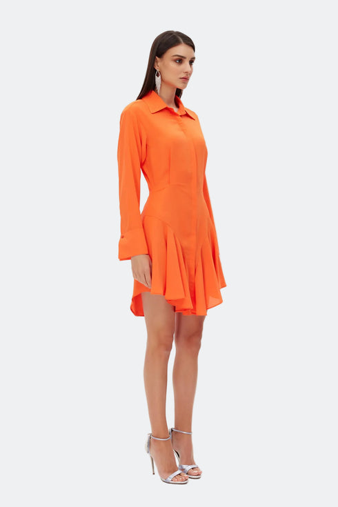 Frill detailed shirt mini dress