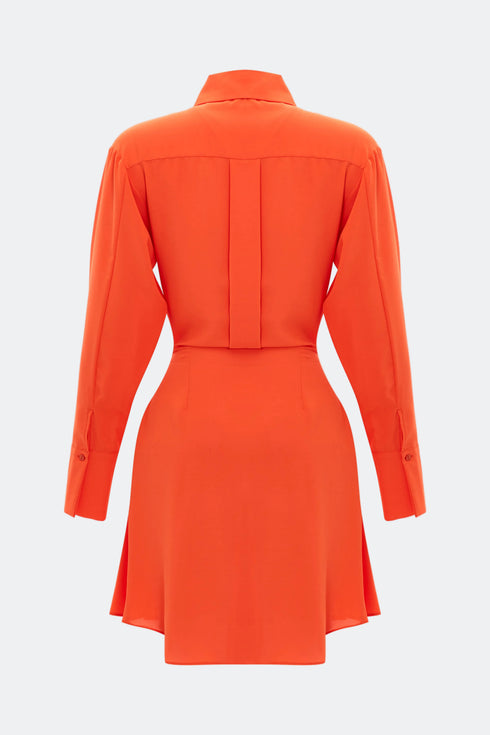 Frill detailed shirt mini dress