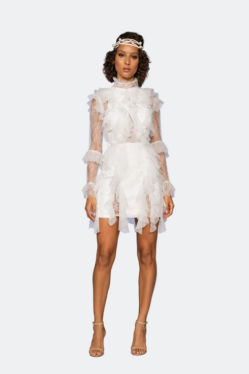 French Lace, Flounce And See Through Dress