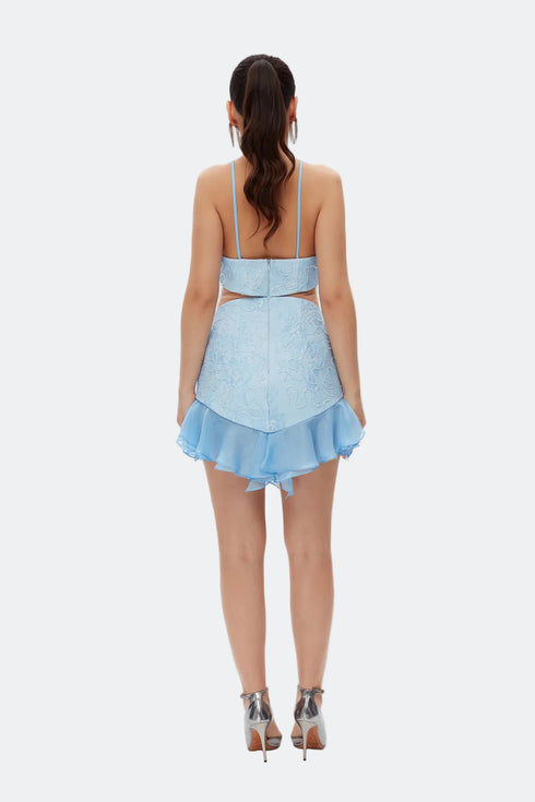 Transparent Detailed Mini Dress