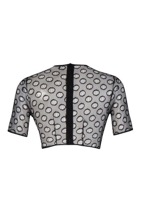 Transparent Lace Short Top