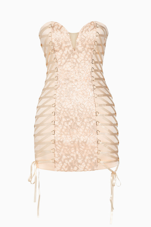 Lace Detailed Mini Dress