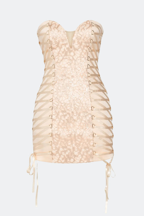 Lace Detailed Mini Dress