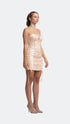 Lace Detailed Mini Dress