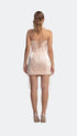 Lace Detailed Mini Dress