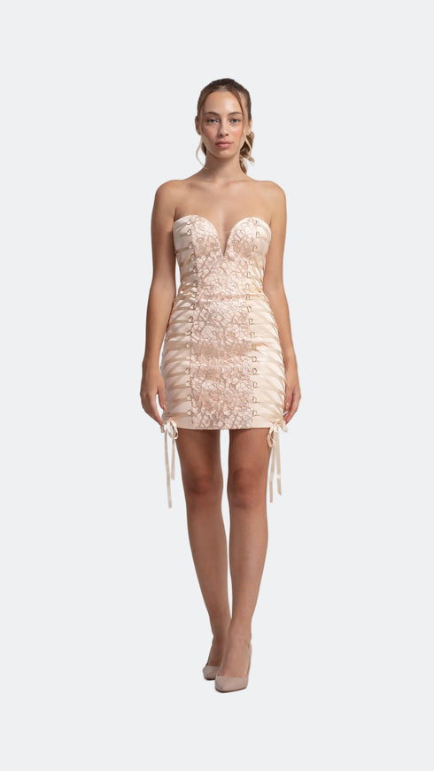 Lace Detailed Mini Dress