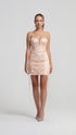 Lace Detailed Mini Dress