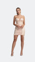 Lace Detailed Mini Dress
