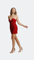 Poppy Bodycon Mini Dress