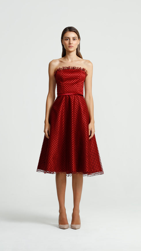 Velvet Detail Midi Dress