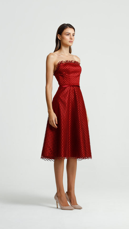 Velvet Detail Midi Dress