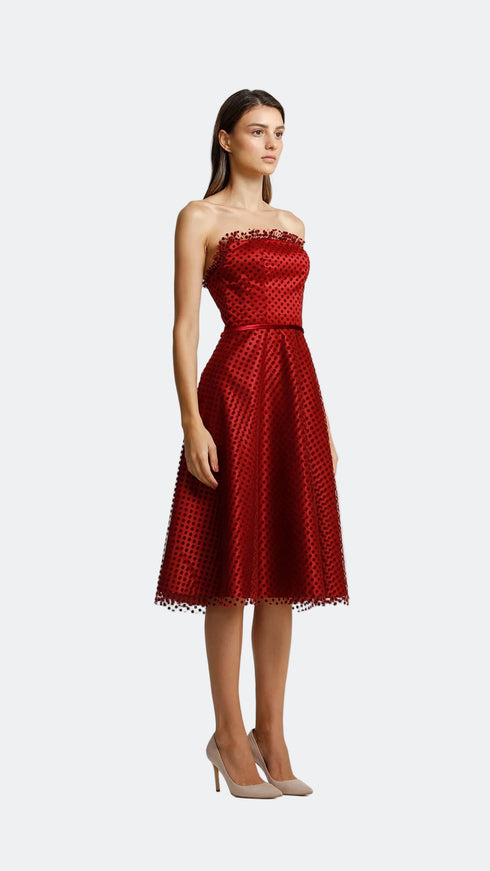 Velvet Detail Midi Dress