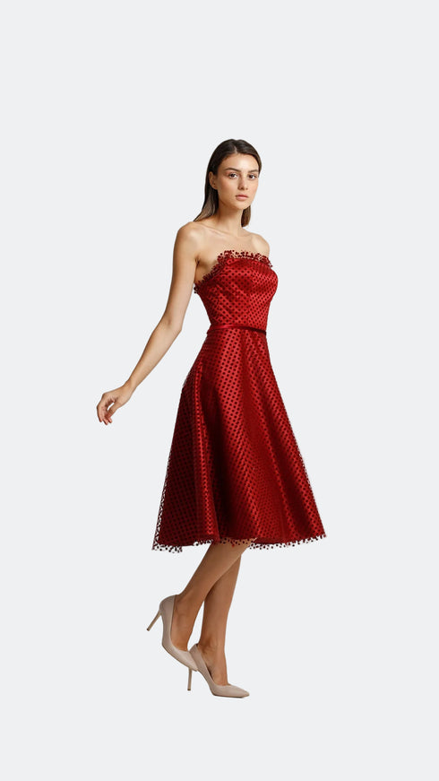 Velvet Detail Midi Dress
