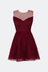 Velvet Polka Dot Mini Dress