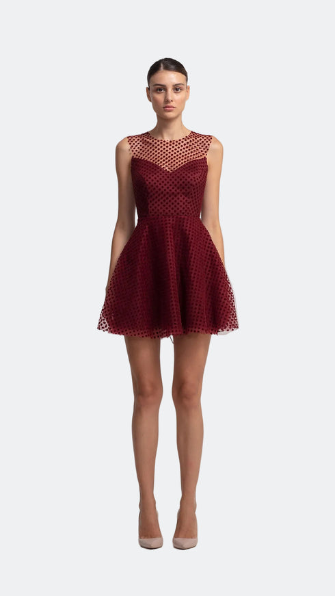Velvet Polka Dot Mini Dress
