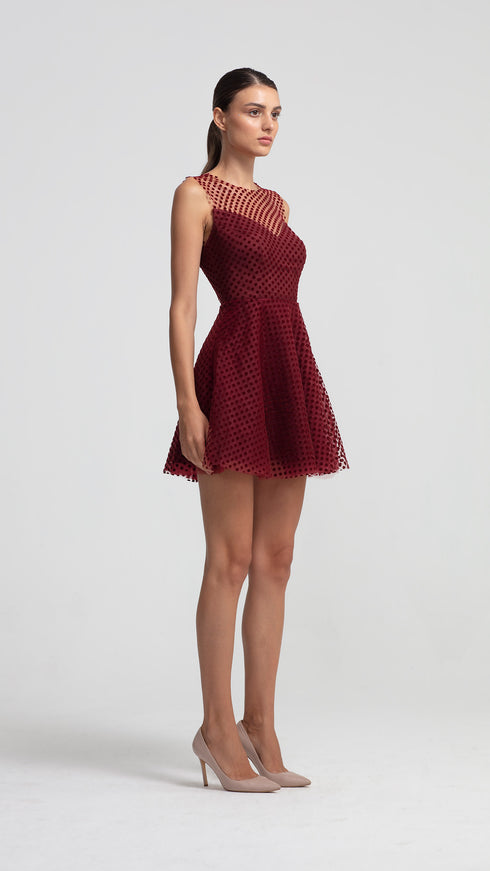 Velvet Polka Dot Mini Dress