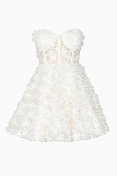 3D Floral Pattern Mini Transparent Dress