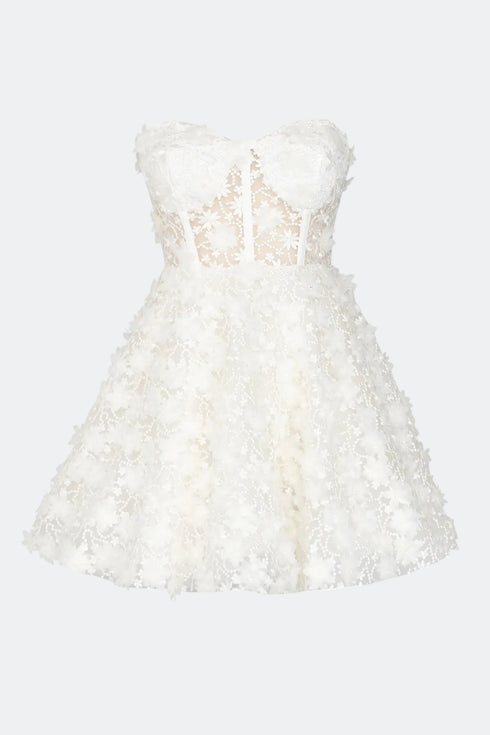 3D Floral Pattern Mini Transparent Dress
