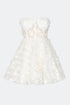 3D Floral Pattern Mini Transparent Dress