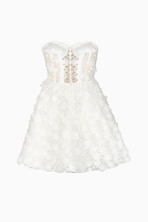 3D Floral Pattern Mini Transparent Dress