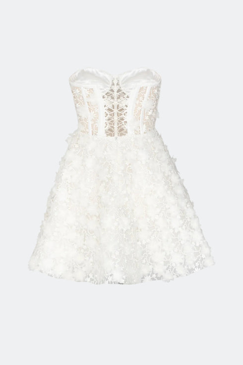 3D Floral Pattern Mini Transparent Dress