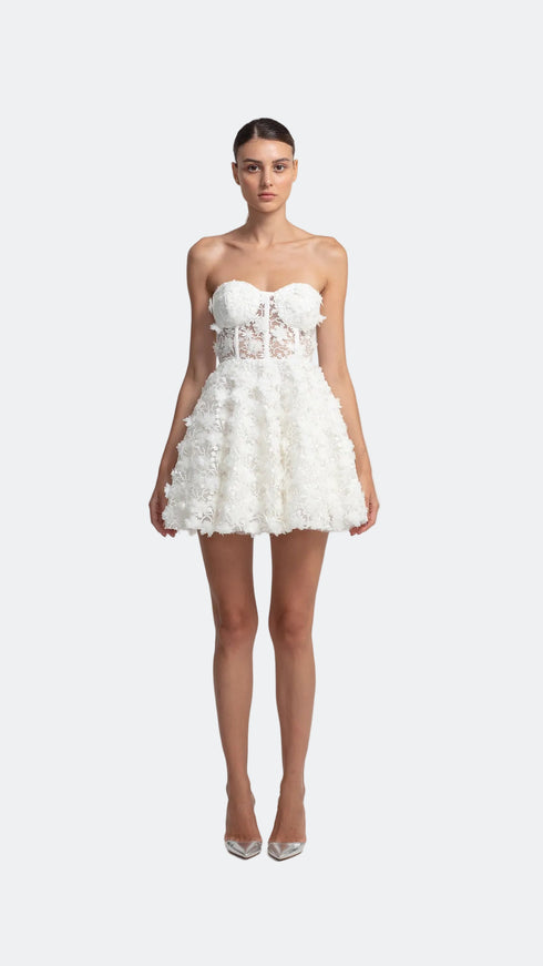 3D Floral Pattern Mini Transparent Dress