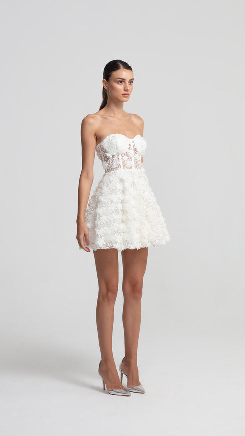 3D Floral Pattern Mini Transparent Dress