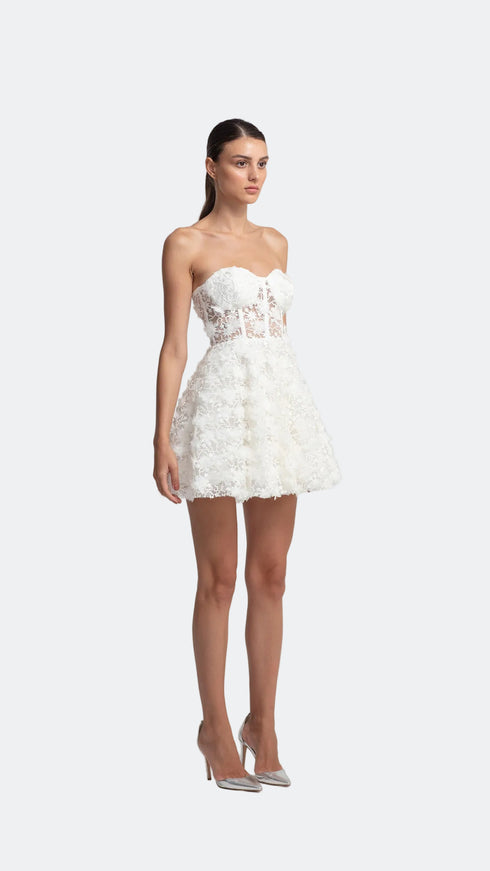 3D Floral Pattern Mini Transparent Dress