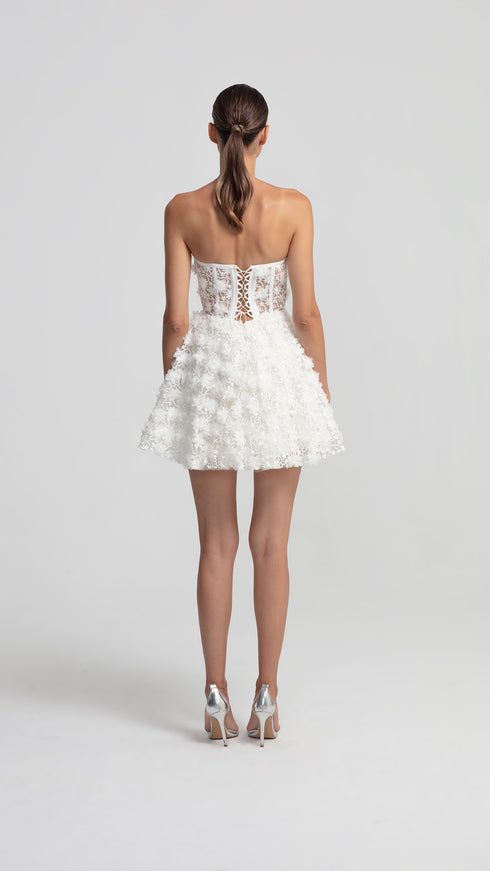 3D Floral Pattern Mini Transparent Dress