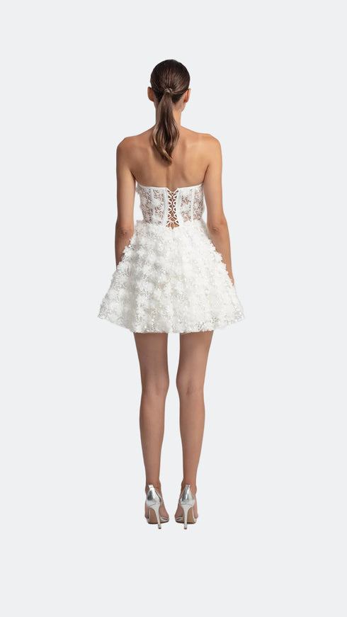 3D Floral Pattern Mini Transparent Dress