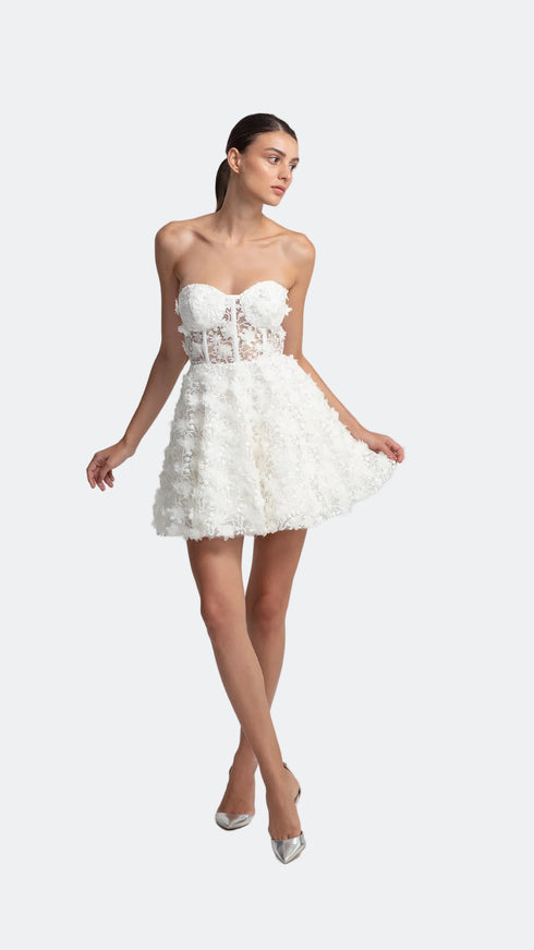 3D Floral Pattern Mini Transparent Dress