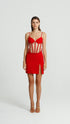 Tulle Corset Crimson Mini Dress