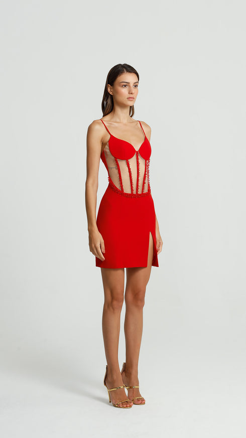 Tulle Corset Crimson Mini Dress