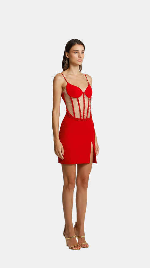 Tulle Corset Crimson Mini Dress