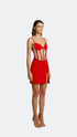 Tulle Corset Crimson Mini Dress