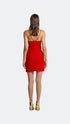 Tulle Corset Crimson Mini Dress