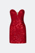 Maroon Bodycon Mini Dress