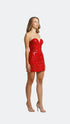 Maroon Bodycon Mini Dress