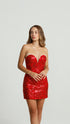 Maroon Bodycon Mini Dress