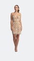 Deep Decollete Secret Mini Dress