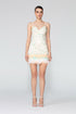 Sequined V Neck Fur Detailed Mini Dress